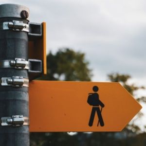 formation management